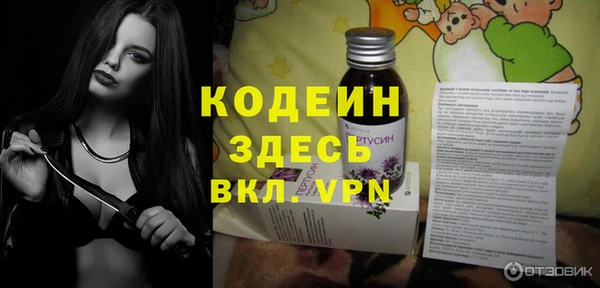 прущие грибы Вяземский