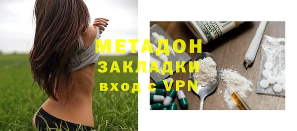 прущие грибы Вяземский