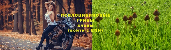 спиды Вязники