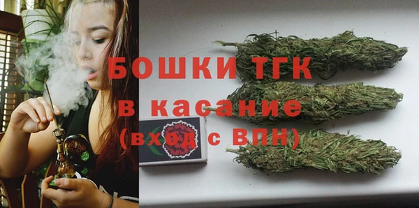 молекула духа Вязьма