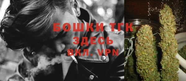 прущие грибы Вяземский