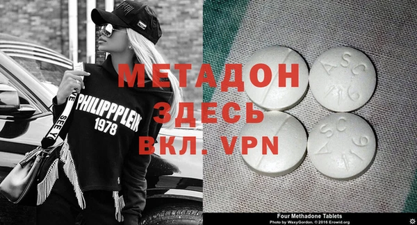 прущие грибы Гусиноозёрск