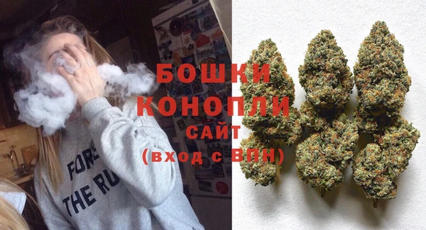прущие грибы Вяземский