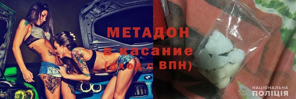 прущие грибы Вяземский