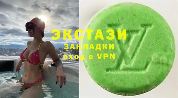 прущие грибы Гусиноозёрск