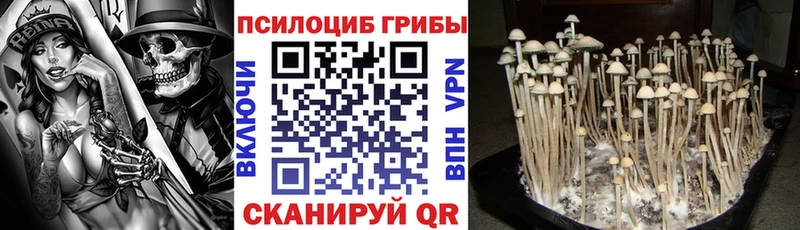 Псилоцибиновые грибы мухоморы  Завитинск 